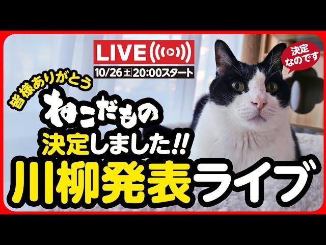 【ライブ記録】ねこだもの川柳 採用発表ライブ