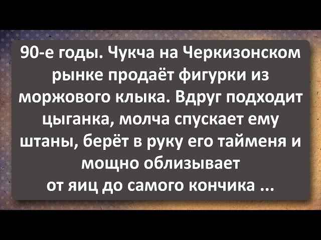 Цыганка 40 лет Взяла у Чукчи Моржового! Сборник Самых Свежих Анекдотов!