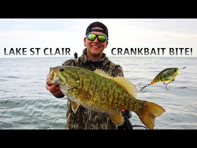 Lake St Clair Spring Fishing - 59 Bass on Crankbaits & Baby Tubes!