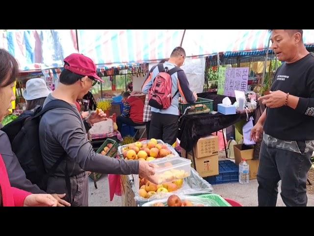 台灣真行   （自駕一日遊到底能去哪裡?今天旅遊日記再次更新。）