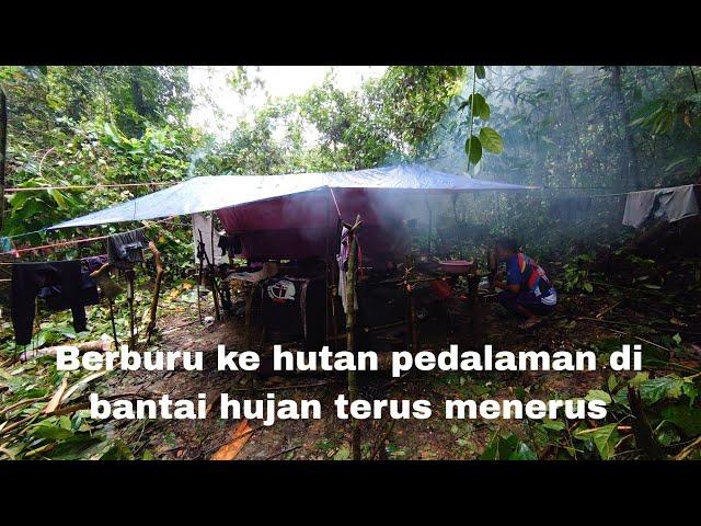 Camping berburu 4 hari 3 malam di hutan pedalaman Kalimantan