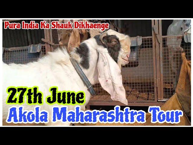 Akola Maharashtra Tour Update | Rehan Bhai ka shauk | Pure India Ka Shauk Dikhaenge