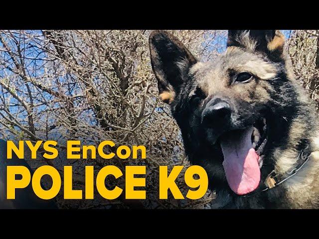 NYS EnCon Police K9