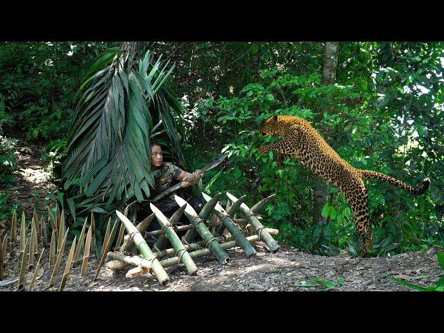 Black Panther attacks, quickly build shelter, survive alone