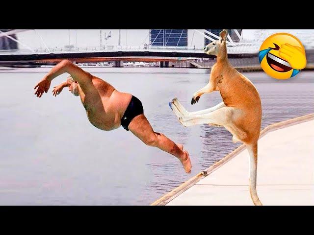 Funny Dogs And Cats Videos 2023  - Best Animal Videos Of The Month  #4