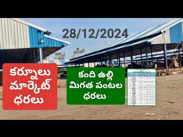 ఈరోజు 28/12/2024 కర్నూలు మార్కెట్ ధరలు today kurnool market prices today onion rate price business