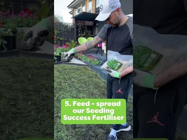 Full lawn transformation!