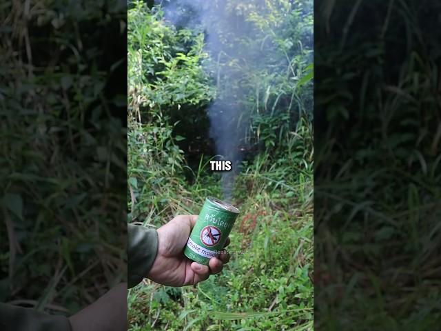 MOSQUITO GRENADE!!!!                  #science #facts #diy #satisfying