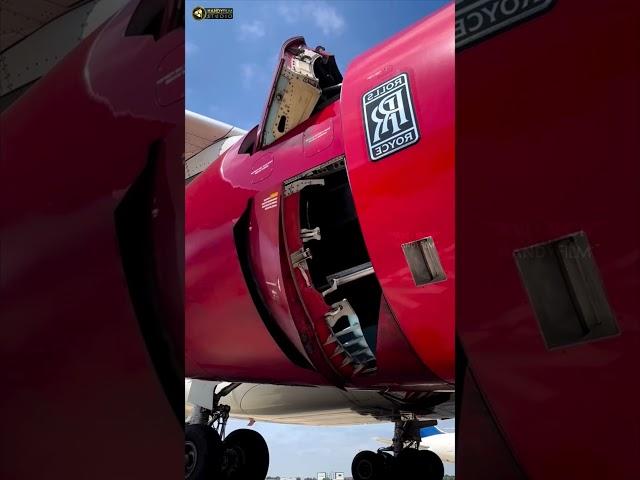 Airbus A330 Rolls Royce Engine Thrust Reverser! #aviation #plane #aircraft #airplane #airport