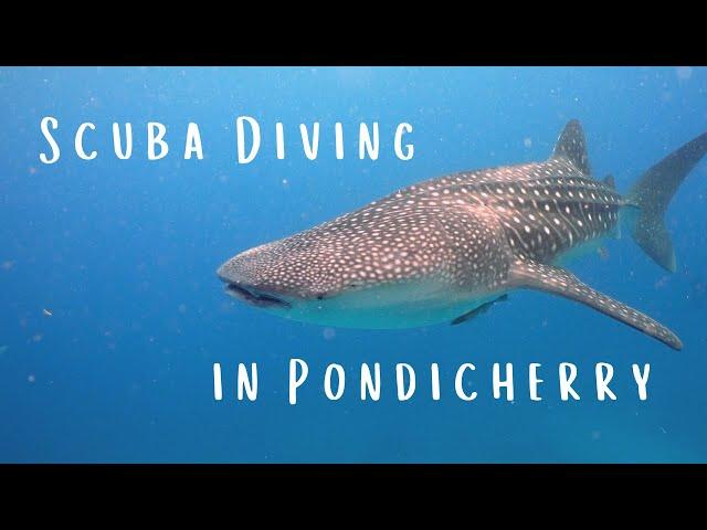 Scuba Diving in Pondicherry | Scuba Diving in India | Temple Adventures | Olympus TG-5