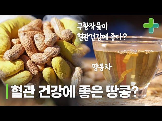 혈관 건강에 좋은 땅콩이 있다? 땅콩으로 혈관 건강 관리