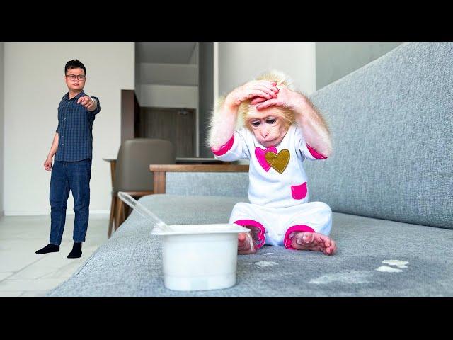 Monkey Baby Molly gets scared when Dad's brother sees everything