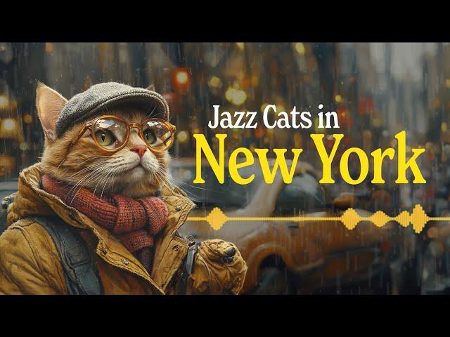 Lofi Radio, Elevate Your Afternoon With Some New York Jazzhop