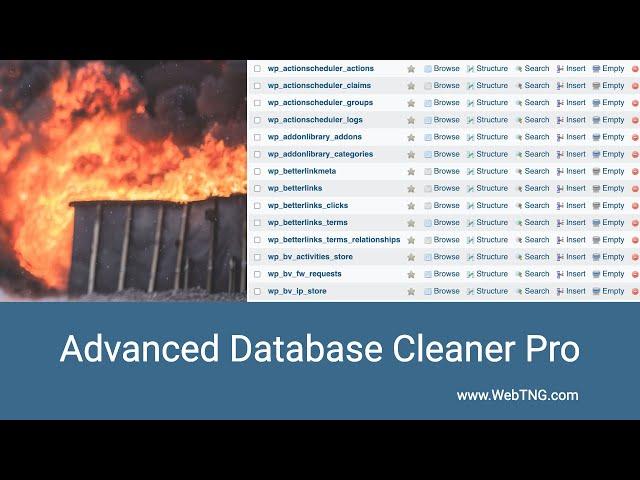 Advanced Database Cleaner