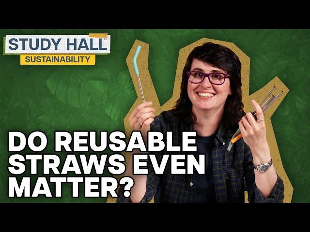 What it means to be “sustainable” | Sustainability 1 of 31 | Study Hall