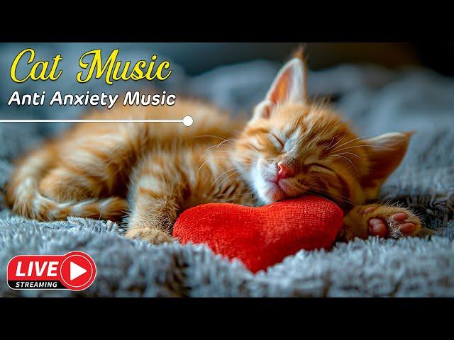 12 Hours Sleep Music for Cats  Calming Music for Cats No Ads  Sleep Music for Anxious Cats