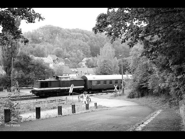 Bahnalltag in Roßwein von Juli bis September 2020 - Ludmilla und DR V100