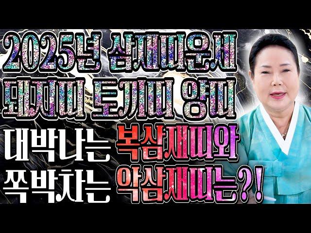 미리보는 2025년 삼재특집 2025년 을사년에 최악의 삼재띠는 어떤 띠가 있을까? 토끼띠 양띠 돼지띠 삼재띠 분들은 꼭 미리 알고 예방하세요 그래야 나에게 복이 옵니다.