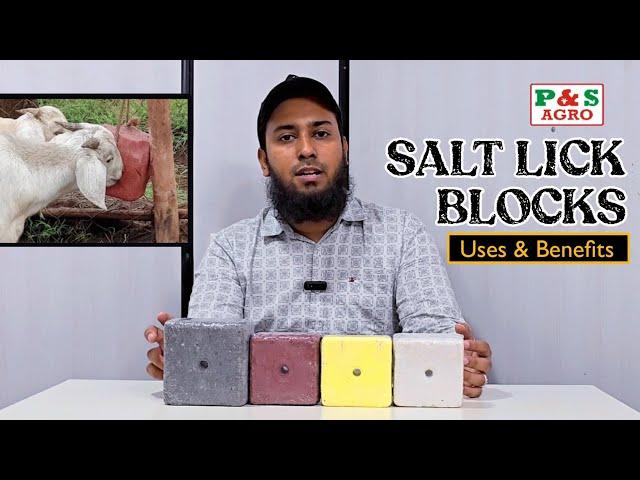 Janwaro ke Chaatne wale Salt Blocks | N S Agro Ahmedabad