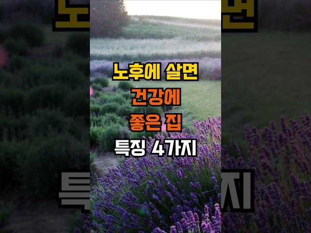 노후에 살면 건강에 좋은 집 특징 4가지