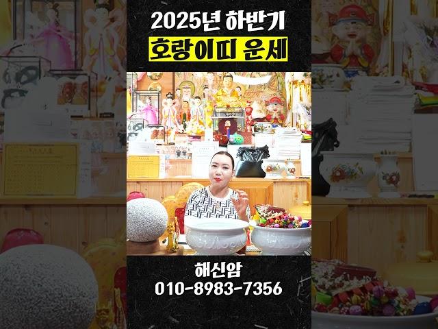 2025년 하반기 엄청난 대운이 들어오는 원숭이띠 운세!
