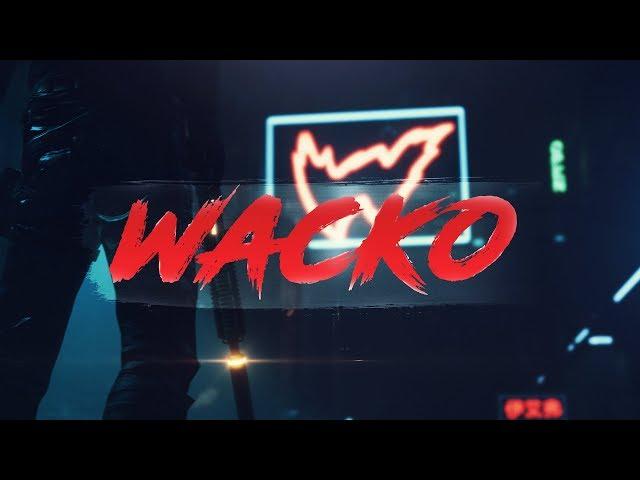 G2 WACKO | PUBG FRAG MOVIE