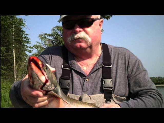 Bruce King Fishes Anvik River Lodge in Alaska 2015