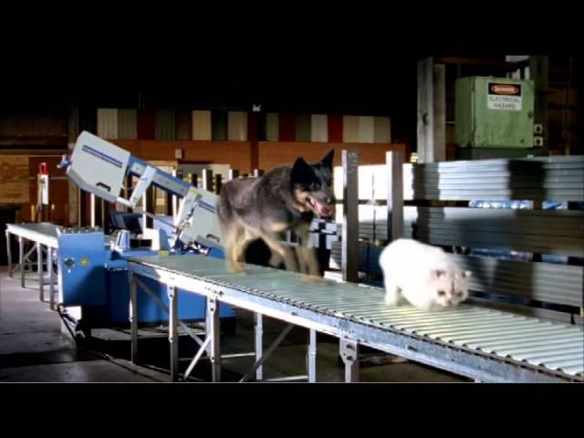 Midalia Steel TV Commercial "Bruce & Moggie"