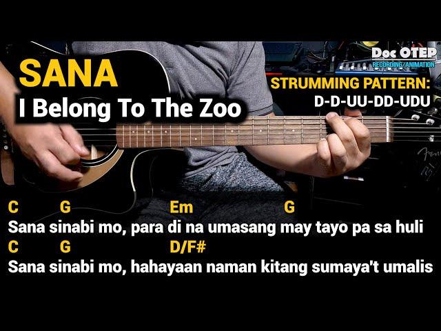 SANA - I Belong To The Zoo (Guitar Tutorial with Chords Lyrics)