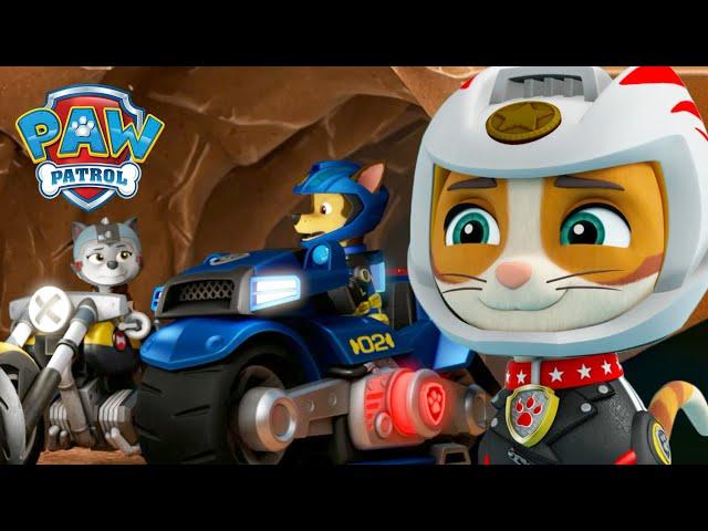 Wild Cat und die Moto-Pups retten eine gefangene Chase und mehr! - PAW Patrol Germany Cartoons