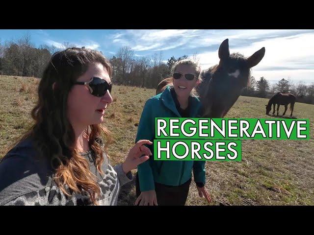 She is Transforming Horse Farming with Regenerative Methods (Eremos Farm)