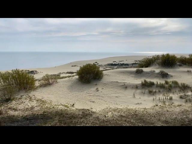 Curonian Spit and It’s Sand-Dunes. Kaliningrad Region, Russia. Live