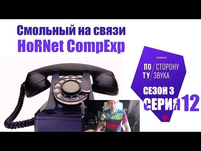 Смольный на связи (По ту сторону звука сезон 3 серия 12)