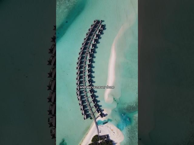 NO BIKINI EXPLANATION, MALDIVES