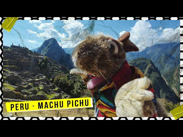 Demian The Rat en Machu Picchu !