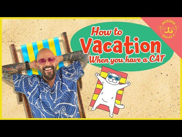 What to Do For Your Cat When You Go Away on Vacation!