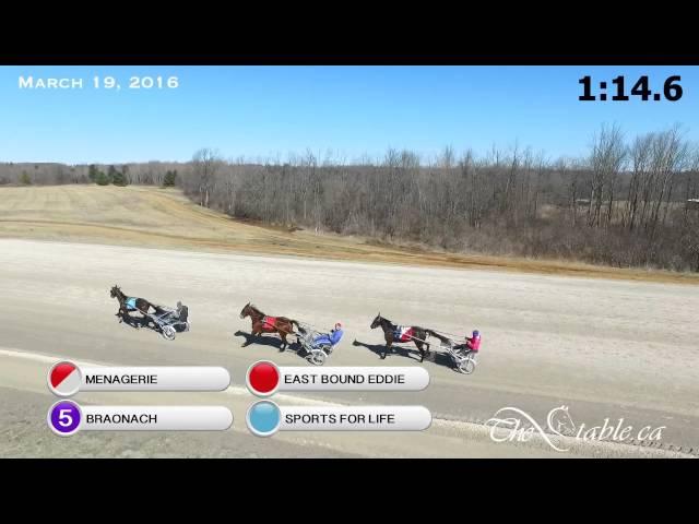 Braonach, Sports For Life, Menagerie, East Bound Eddie - DRONE - MARCH 19, 2016