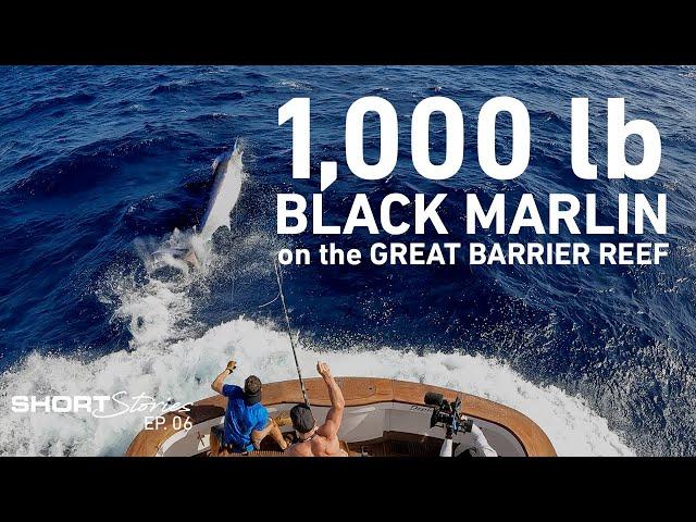 The Catch of a Lifetime | 1000lb Black Marlin caught on the Great Barrier Reef (Short Stories Ep.06)