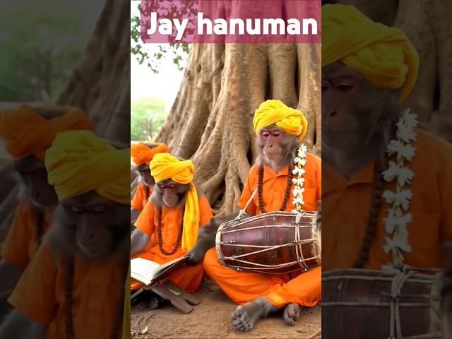 Jay Hanuman # jay gurudev #jay banamali #hare Krishna || Radhe Radhe ||tridandimaharaj @tm#shorts