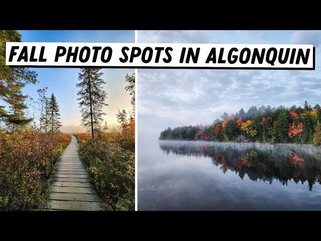 15 Fall Photo Spots in Algonquin Provincial Park | Algonquin Camping