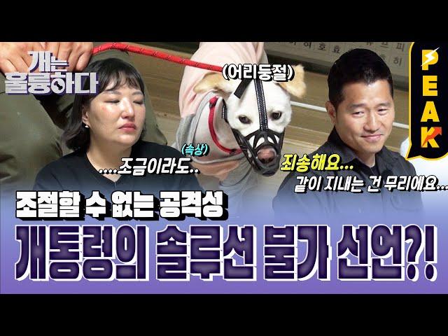 [#피크타임] "미안해요 보호자님..." 강형욱 훈련사 솔루션 불가 선언! 호빵이와 이별할 수 있을까? | #개는훌륭하다 | KBS 230501 방송