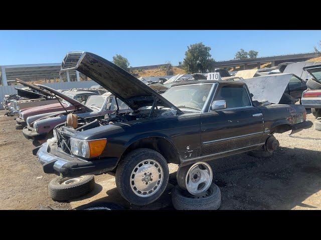 Mercedes-Benz Junkyard Honey Hole! W111, 2 R107’s, C140 CL600, W116, W123, W126