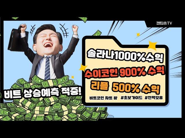 비트코인 리플 시즌 아웃? 알트코인 역대급 상승 나온다!!!!