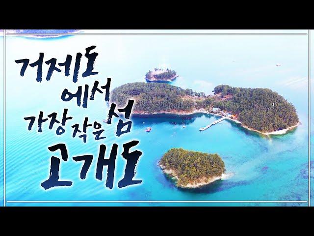 단 2가구! 3명만 살고 있는 아주 작은 섬. 힐링이 뭐 별게 있겠습니까? 내고향 섬에서 조개 잡아다가 끓여먹고 맛있는 거 먹으면 되죠~ #거제도 #고개도 #조개 #유인도