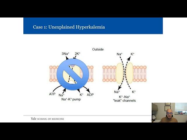 Avoiding Common Pitfalls in Laboratory Testing for Providers and Laboratorians