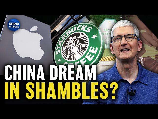 Top US Companies Struggle in China; TikTok Tries to Block Ultimatum Law | China in Focus