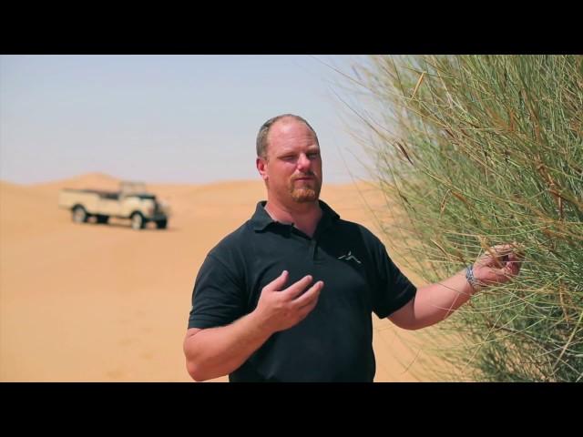 Dubai Desert Conservation - How Bedouins Made Fire | Platinum Heritage 2016