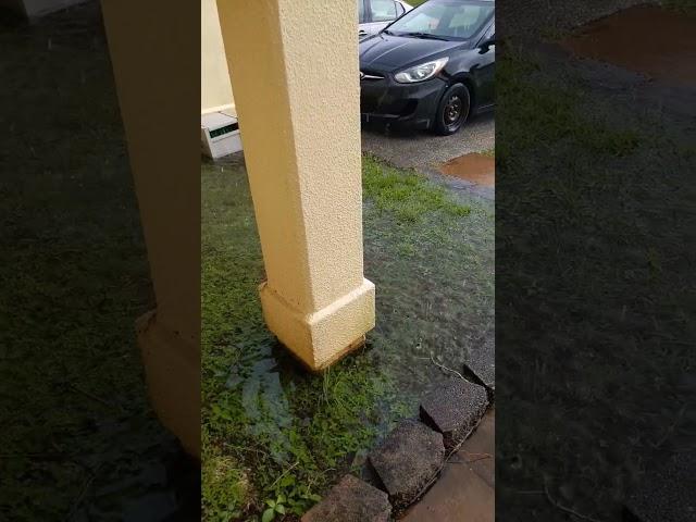 Anyone up for swimming in our front yard  #militaryfamily #vlog #guam #rain #flood