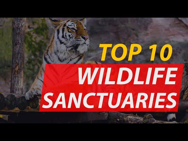 Top 10 Most Majestic Wildlife Sanctuaries in the World