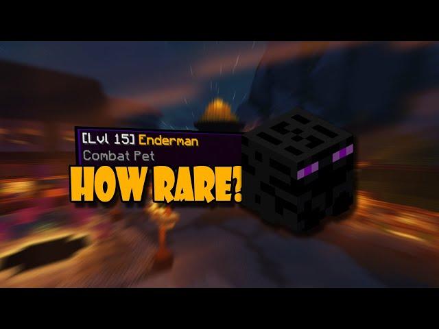 HOW RARE IS THE LEGENDARY ENDERMAN PET? (hypixel skyblock)